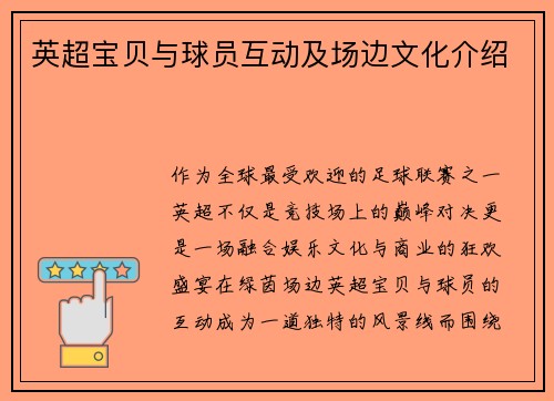 英超宝贝与球员互动及场边文化介绍